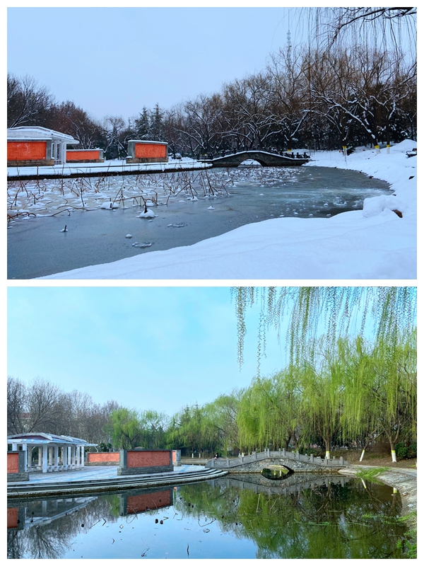 10《冬去春来》（作者：机关 张瑞娟）