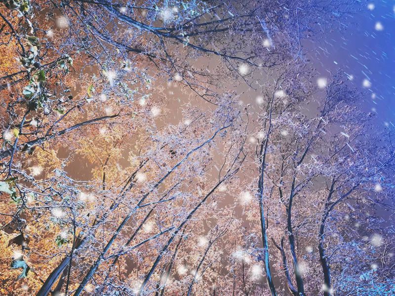 8《雪夜》（作者：艺术学院 张京京）