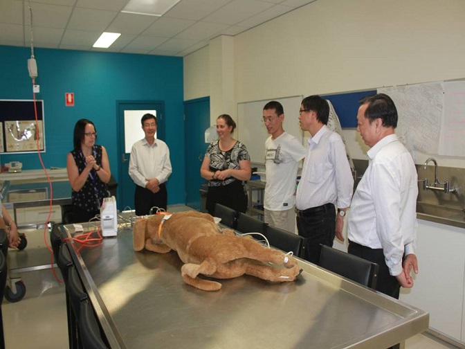 李明中校长一行访问墨尔本理工学院