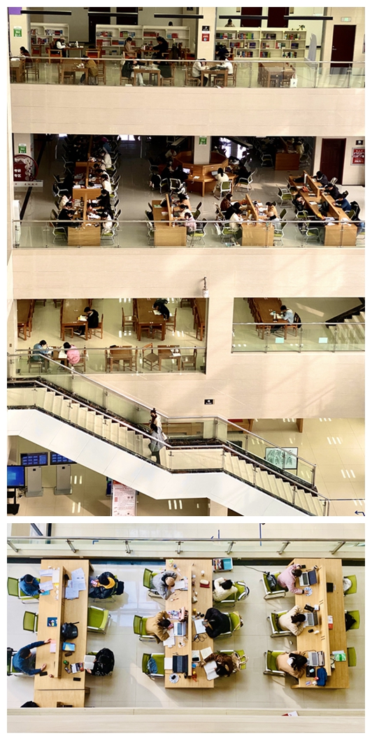 9《春风十里不如你》（作者：理学部 王茜）